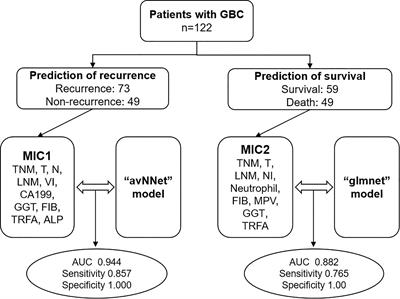 Multi-clinical index classifier combined with AI algorithm model to predict the prognosis of gallbladder cancer